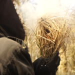 10 Ways to Make Fire with Natural Tinders