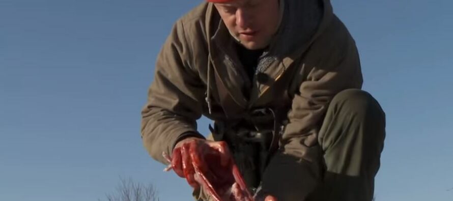 How to Skin and Clean a Rabbit