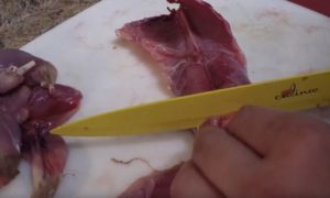 How to Cook Wild Rabbit | Broth Recipe