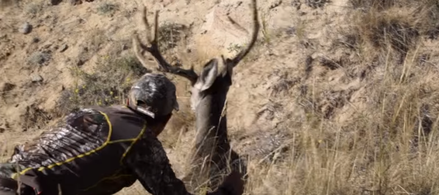 Watch a Sneaky Hunter Grab a Buck