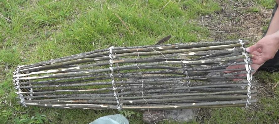 Learn How to Construct a Primitive Survival Fish Trap