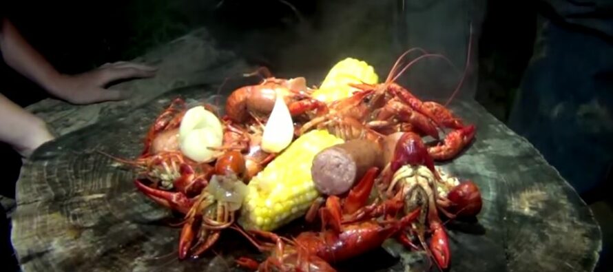 How to Trap and Boil Crawfish